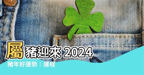 2024年豬年運程|2024 肖豬流年運程 